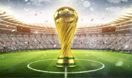 Giới thiệu về giải đấu World Cup